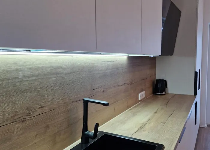 Apartment Amber Sea - 1 Palanga